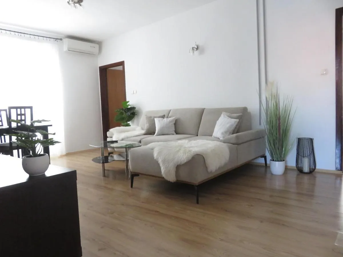Apartments Angie Zadar