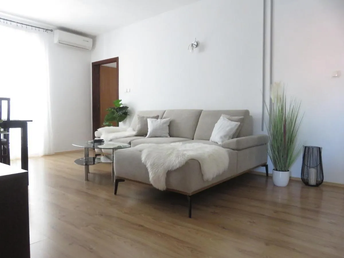 Apartments Angie Zadar