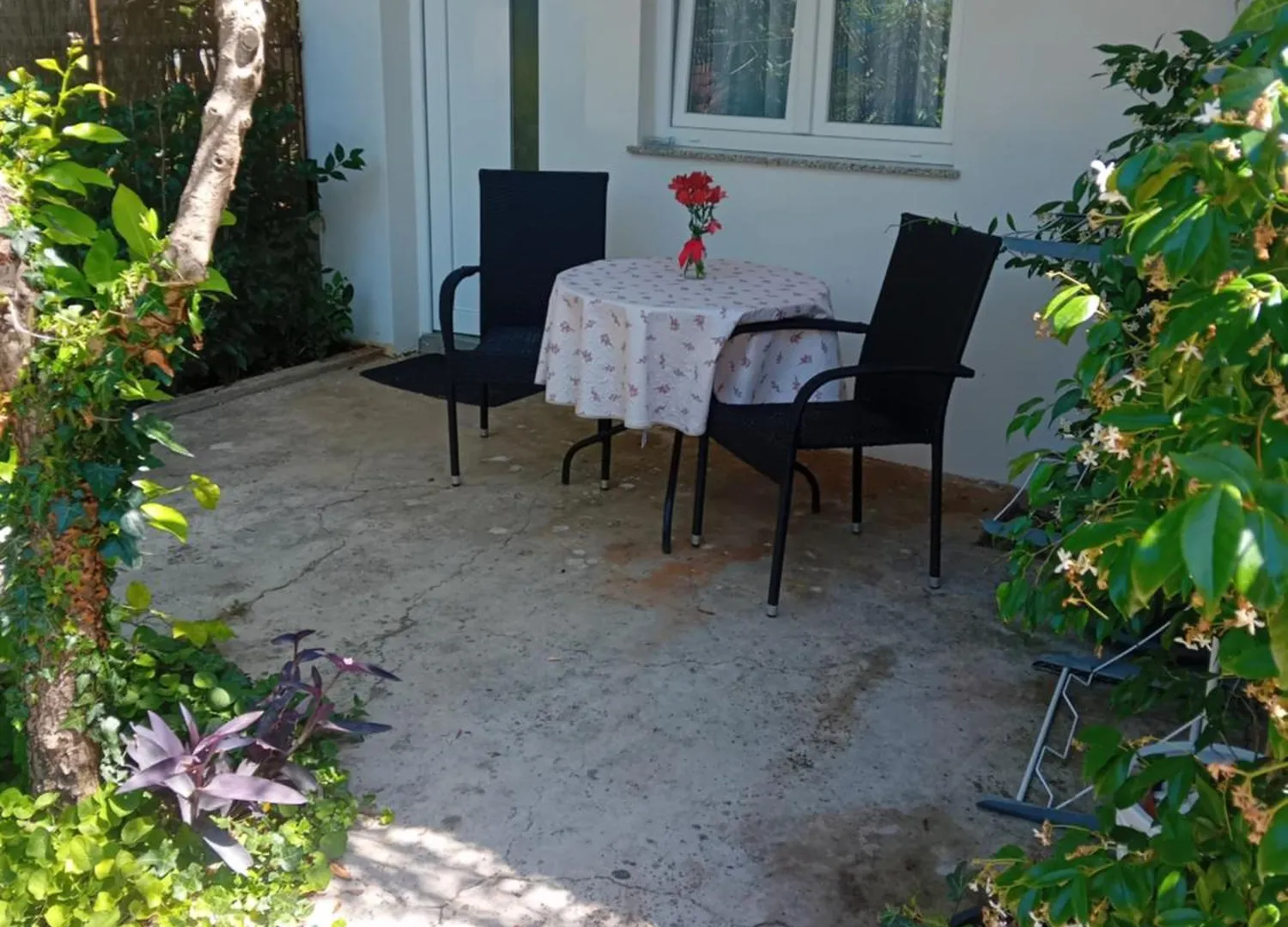 Apartments Angie Zadar Croatia